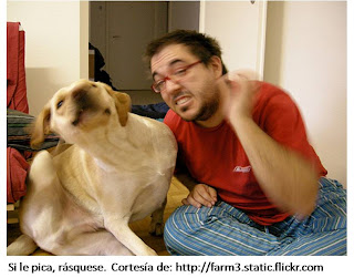 Rascarse es lo mejor contra el prurito Hombre y perro rascándose