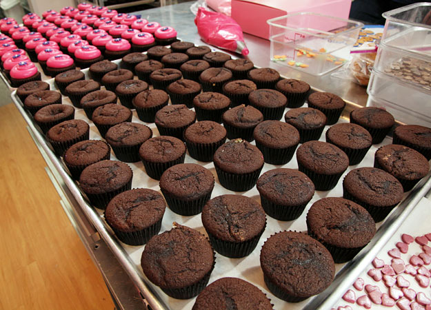 Dc Cupcakes Store