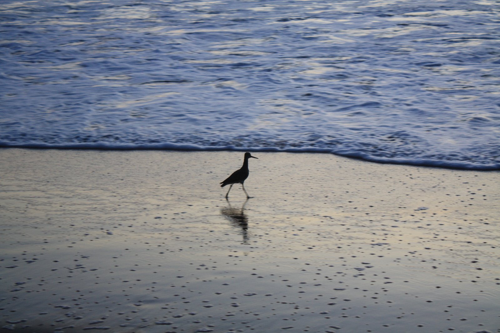 [LA+February+2009+182.jpg]