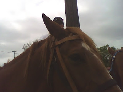 Ranger