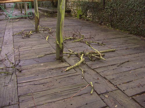 Chambres D Hotes Au Jardin Des Violettes