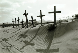 ossa nel deserto