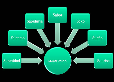 Serotonina