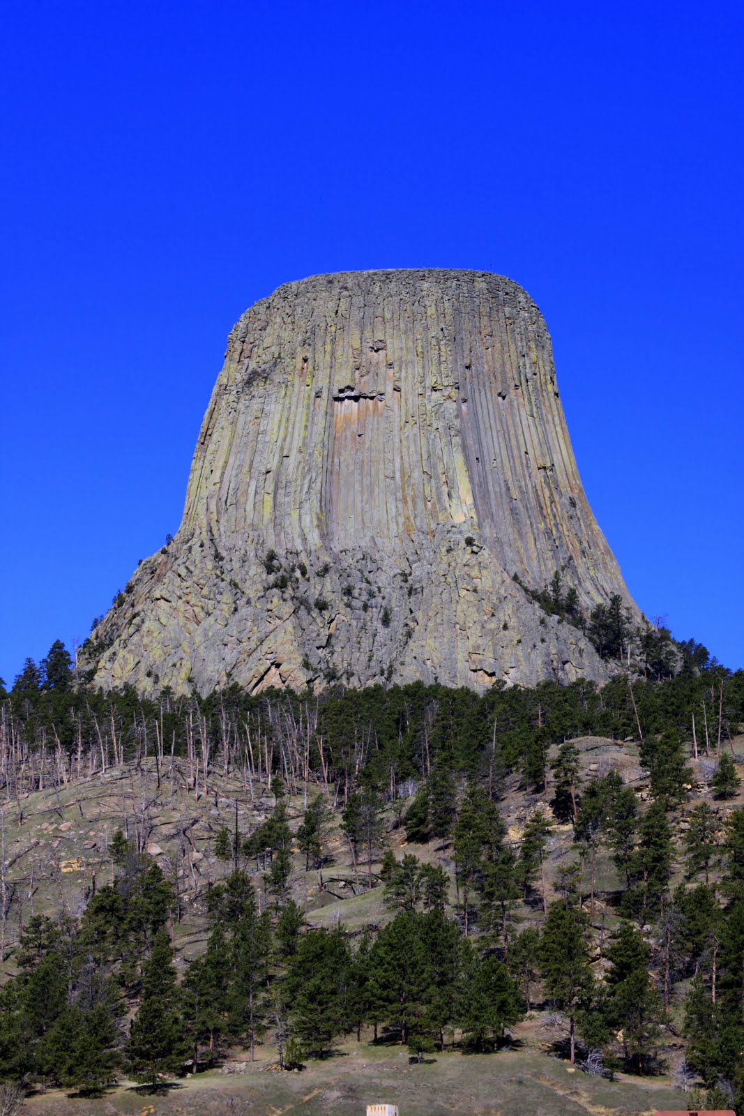 Devils+tower+national+monument+gillette