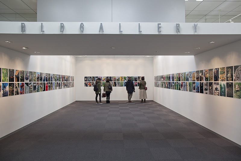 Osiris_news 中平卓馬「Documentary」展続報