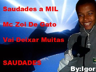 Mc Zóio de Gato