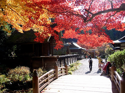 Kyoto Fall