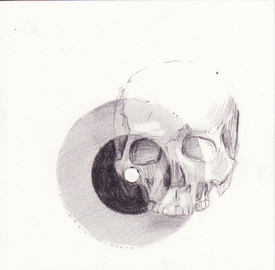 [Zygomatic]