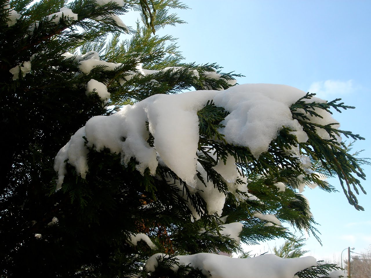 [DSC07405.JPG]