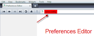 about Percepat Browser Opera