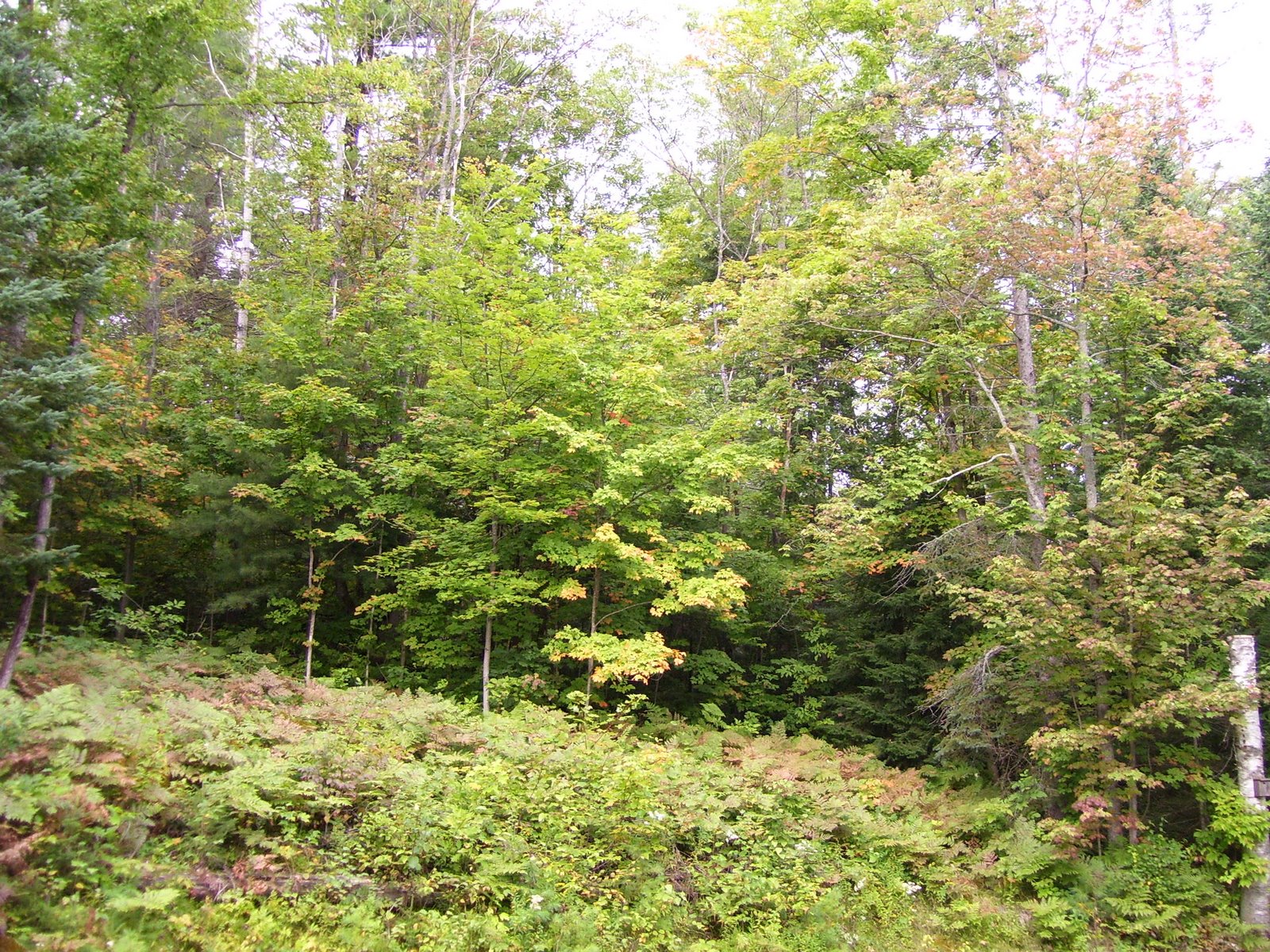 [100_1182.JPG]