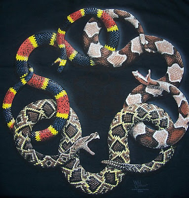 Venomous Snakes Of Tennessee Venomous Snakes Of Tennessee