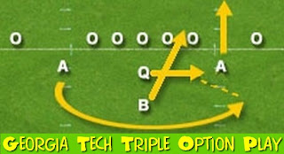 Msu stock options