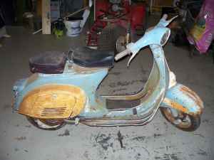 Vespa Hunting