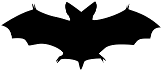 bats, kelelawar,bat