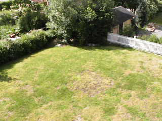 Soltorp: juni 2009