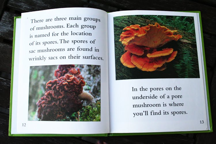 The Book Children: mushrooms!