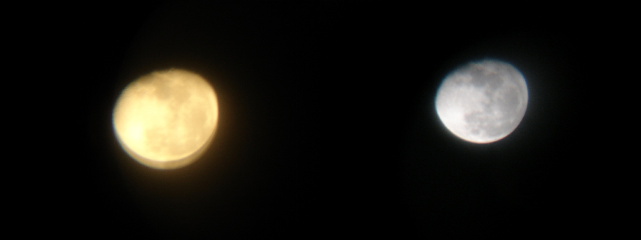 [luadaminhasala2.jpg]