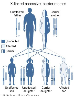 of hereditary diseases.