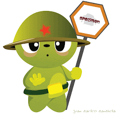soldado verde