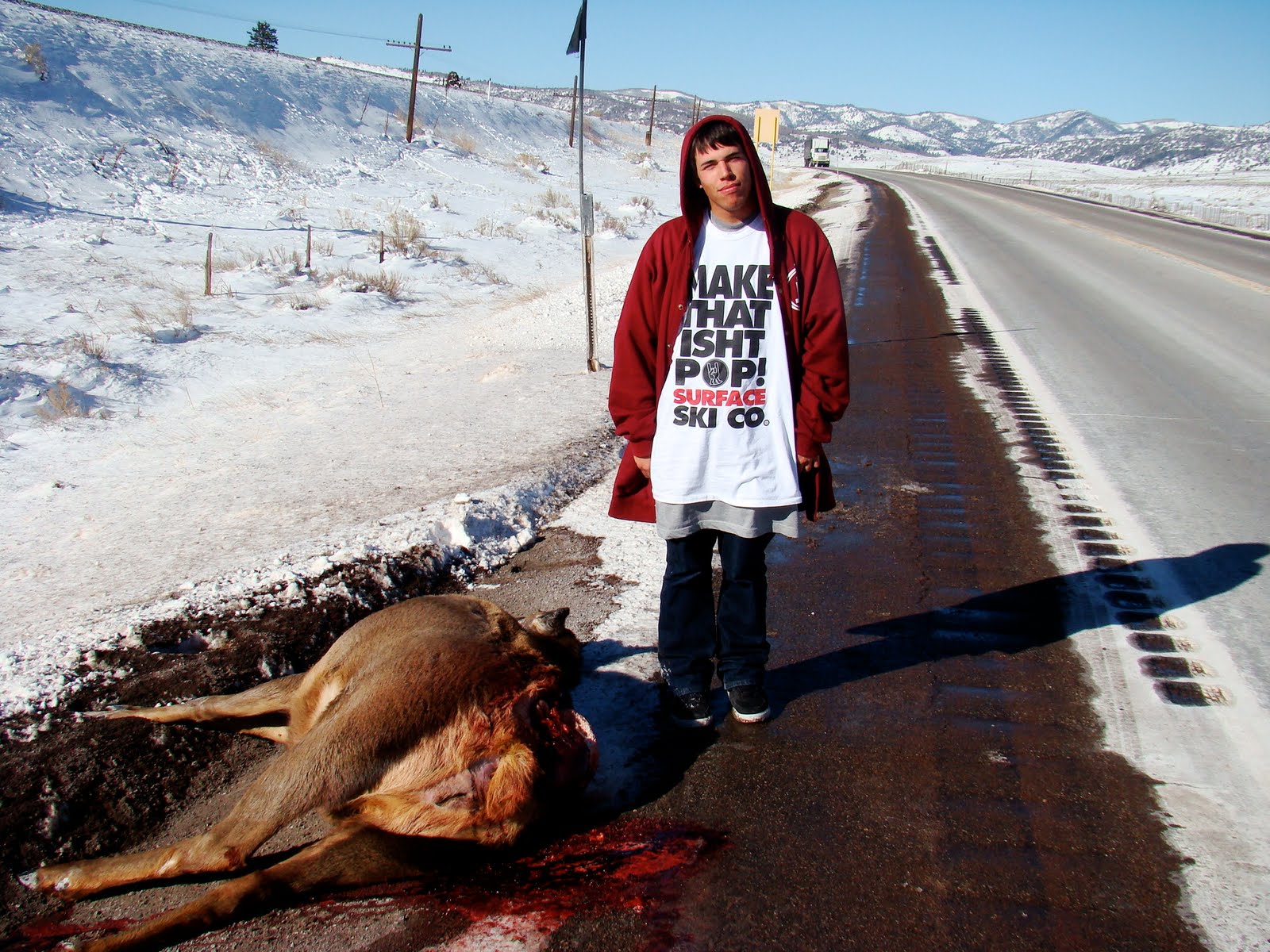 [Elk...JPG]