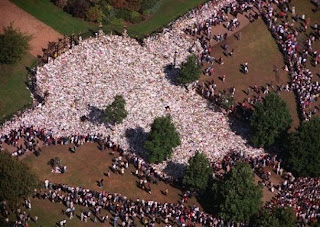 Those are flowers left at the Palace after Diana's death! Flowers!