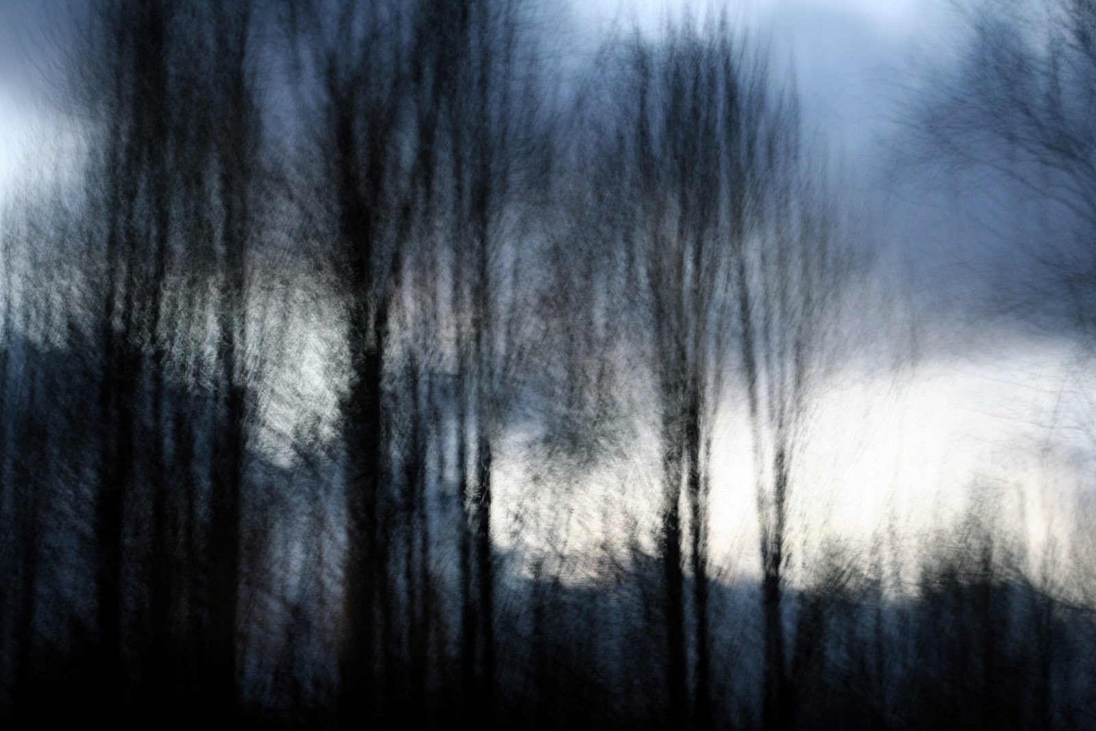 [IMG_3075.JPG]