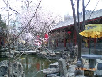 [CIMG5876_resize-731939.JPG]