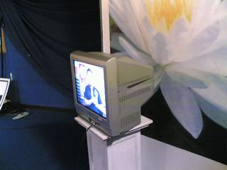 [=?windows-874?B?t9XH1TYzNC5qcGd=?=-778080]