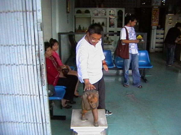 [=?windows-874?B?os254aHouTI2NS5qcGd=?=-710519]