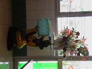 [=?windows-874?B?4sOnp9K55LrizbTV4KvFMjIuanBn?=-733953]