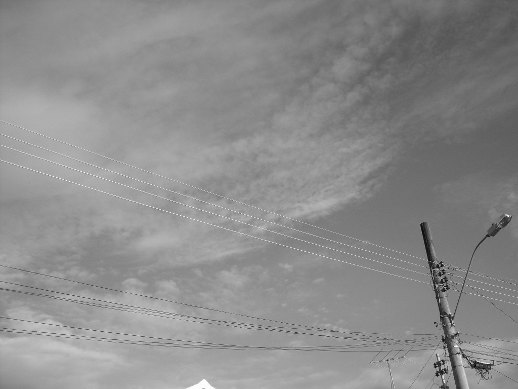 [SDC12942(edit).jpg]