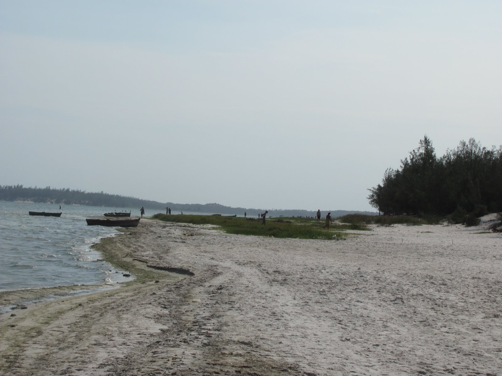 [IMG_0032.jpg]
