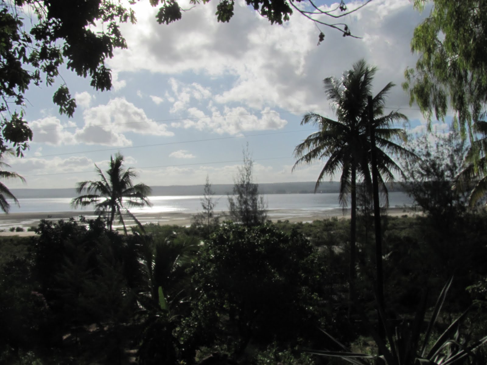 [IMG_0358.jpg]