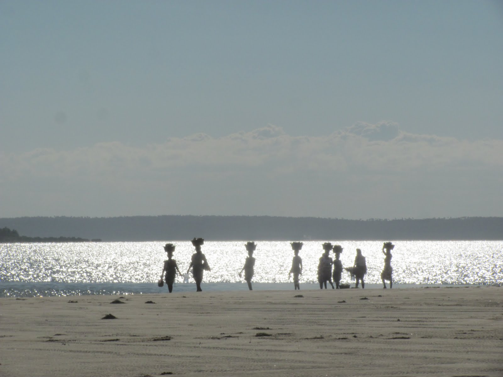 [IMG_0564.jpg]