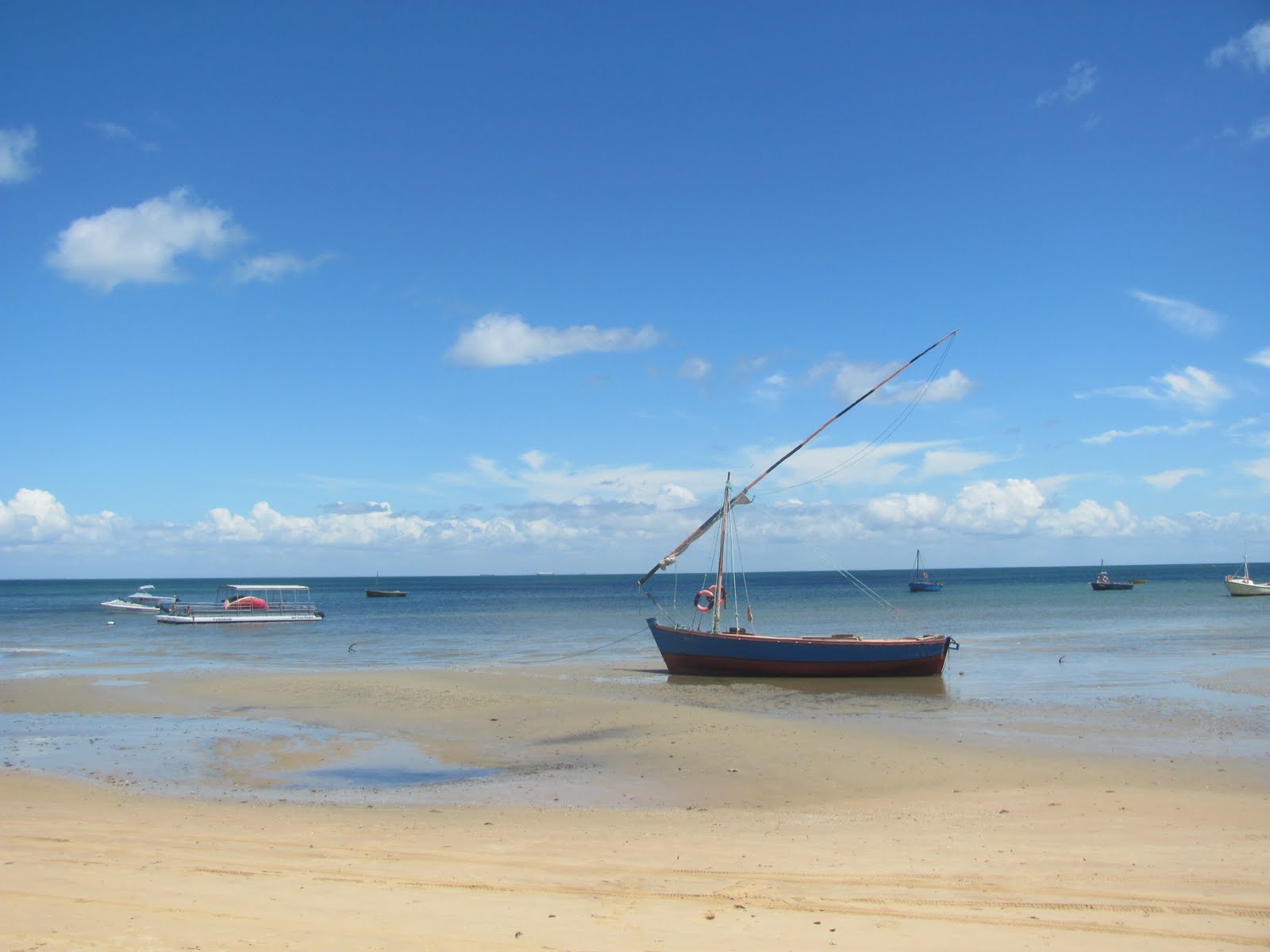 [IMG_1004.jpg]