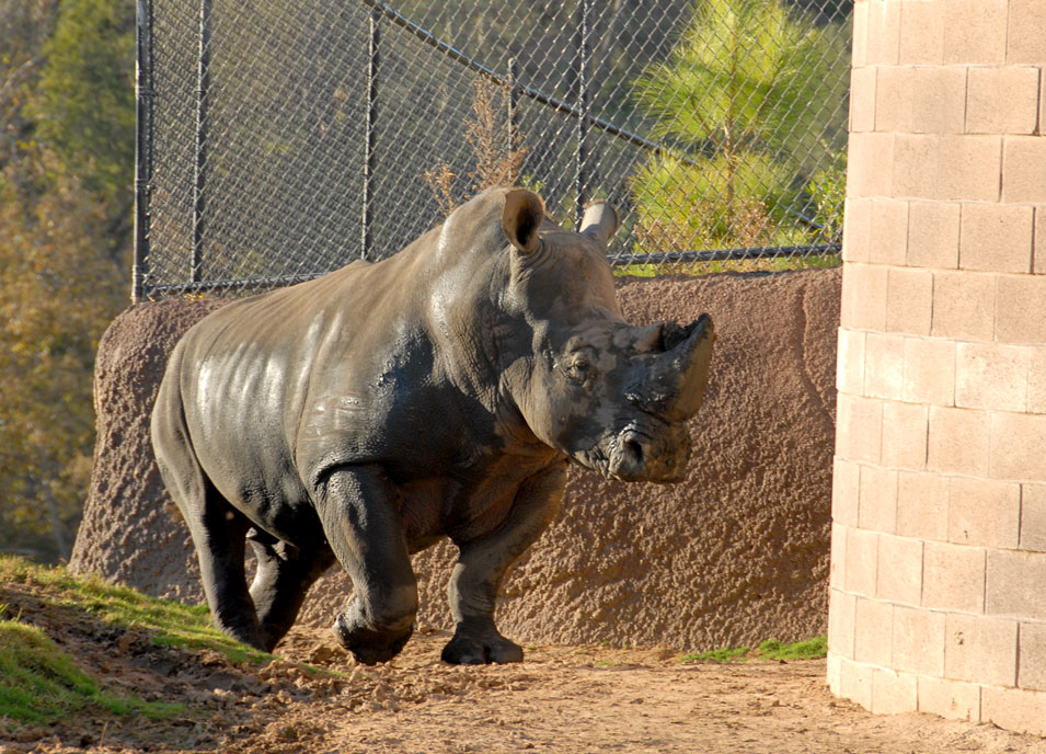 [animalpark7_sm.jpg]