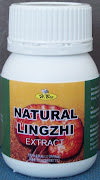 Extract NATURAL LINGZHI