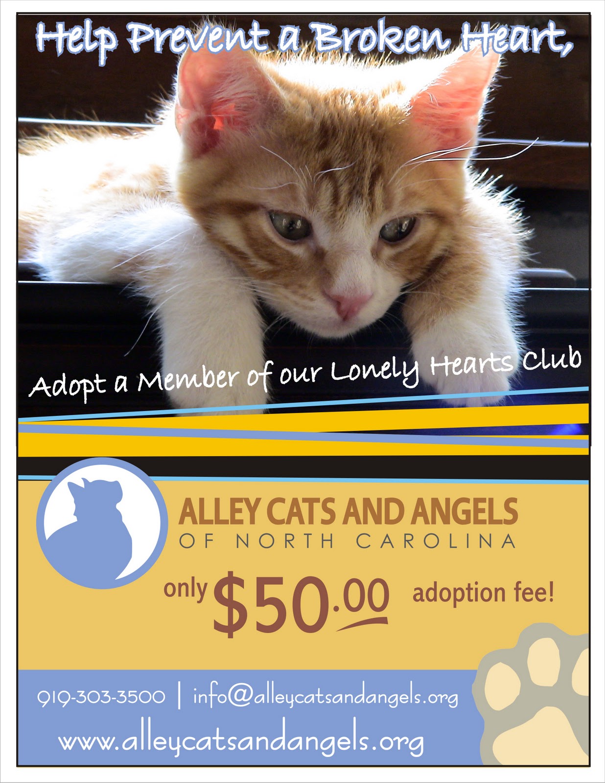 http://4.bp.blogspot.com/_6t6n_ldSq1o/TVF5Gizb8xI/AAAAAAAABT8/2UsHDlMS0Wc/s1600/LonelyHeartsClub.jpg