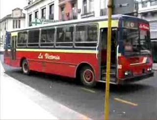 Colectivos de Argentina - Megapost