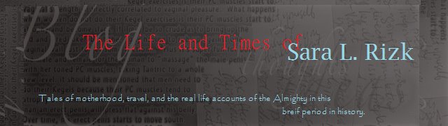 Rizk Blog: