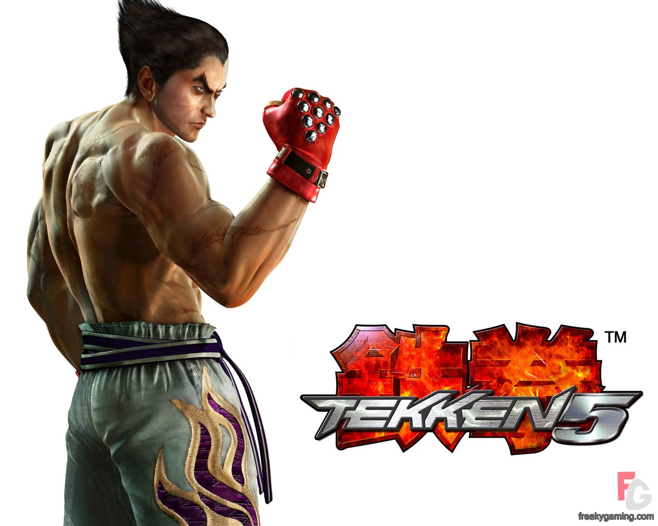 http://4.bp.blogspot.com/_6vbpJfdXQkw/SwHnonxufdI/AAAAAAAABug/OM2LkLNIgwI/s1600/kazuya_mishima.jpg
