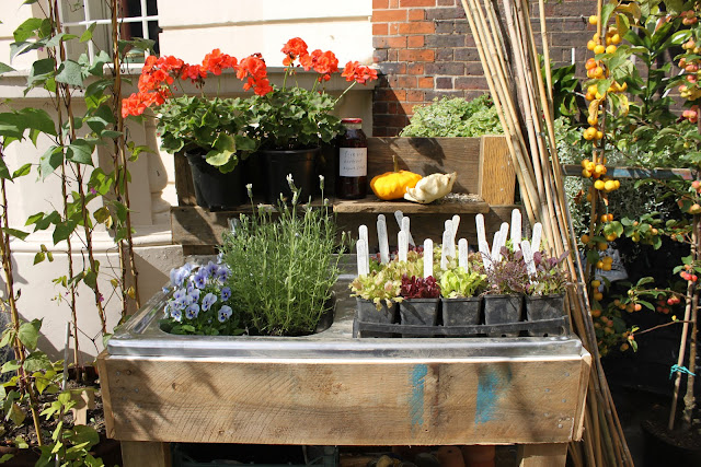 Prince Charles garden party at Clarence House