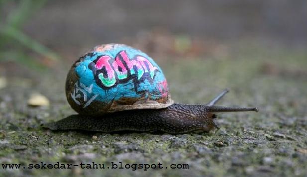 http://4.bp.blogspot.com/_6wWAvMOB4eQ/TMUDvb4_dZI/AAAAAAAAC4E/DIfE9XXqdic/s1600/4.JPG
