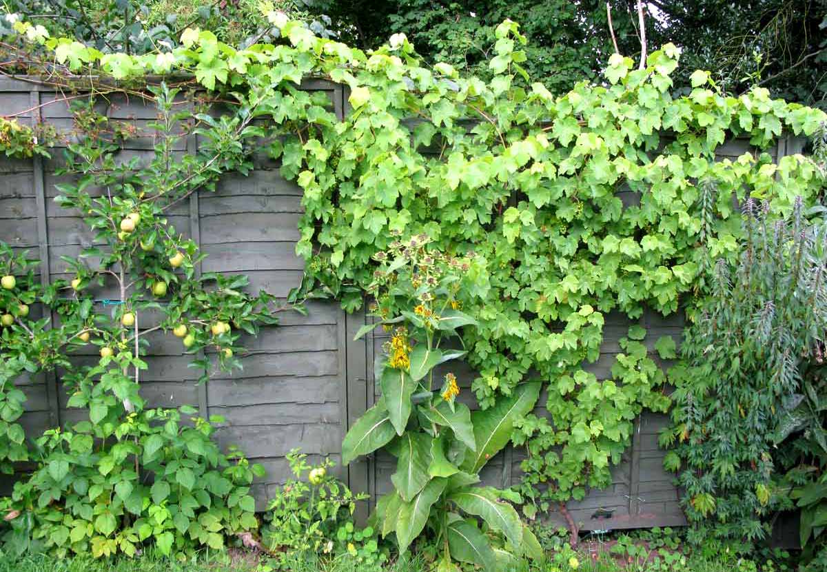 Pheasant Place Putting up panel fencing
