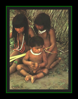 indios brasileiros-amazonia-a sOoL!!