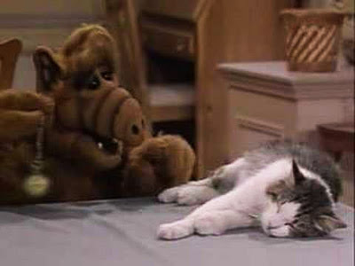 Trained cats are too valuable to eat