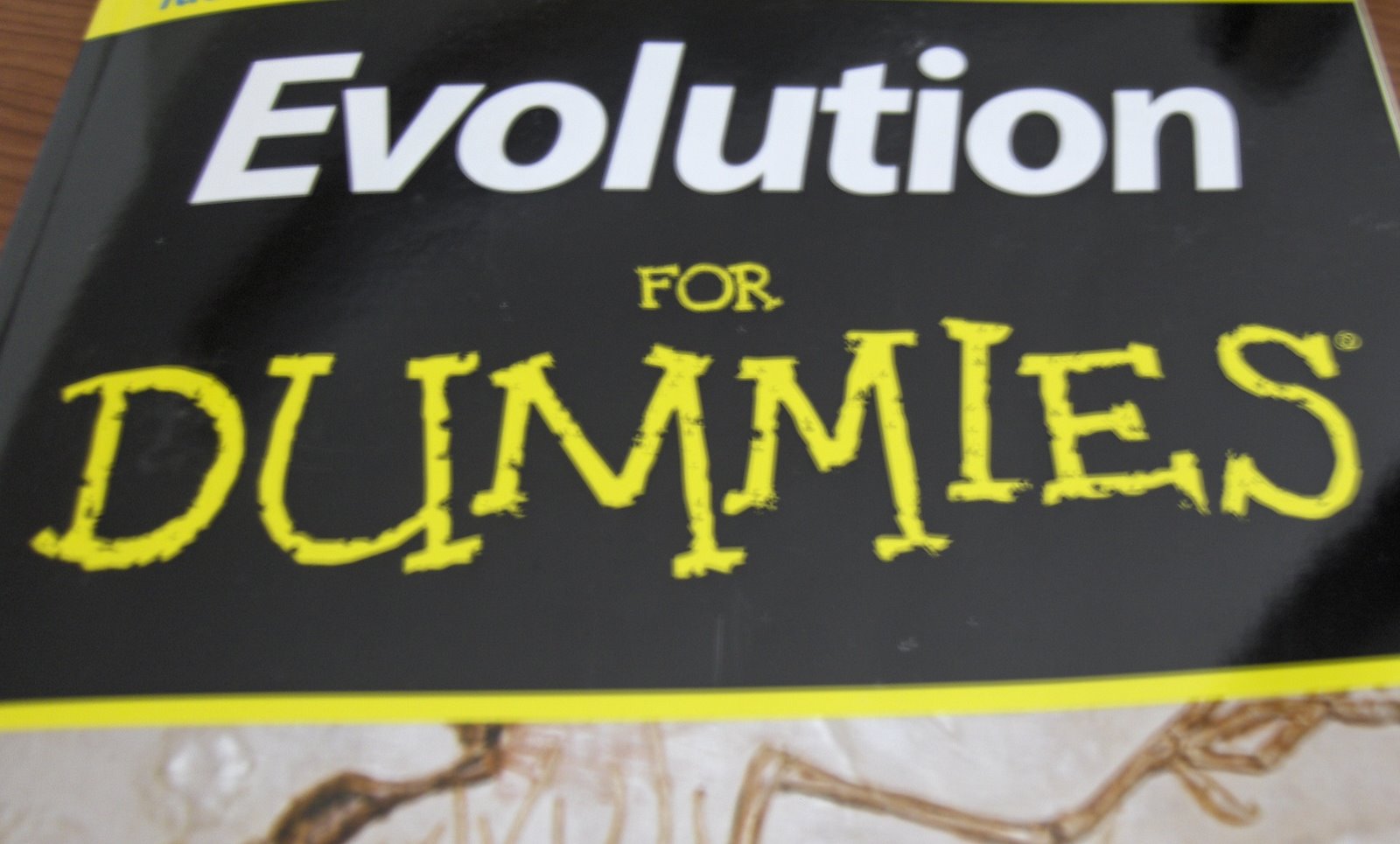 [Dummies+picture2.jpg]