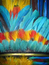 corona de plumas