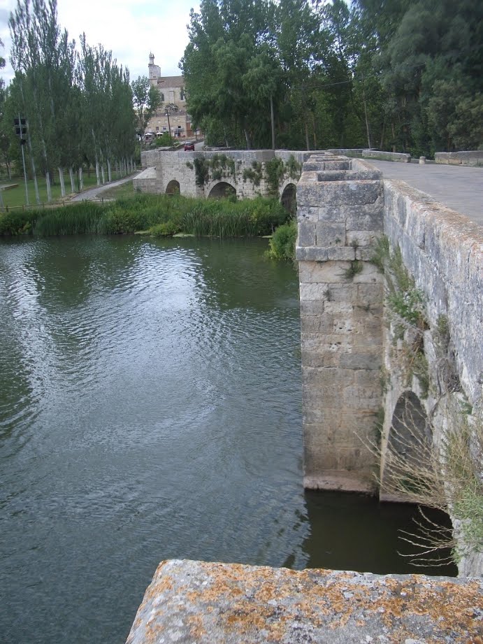 [resized_6.jpg]
